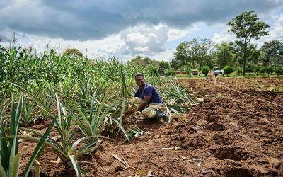 Social Responsibility Programmes