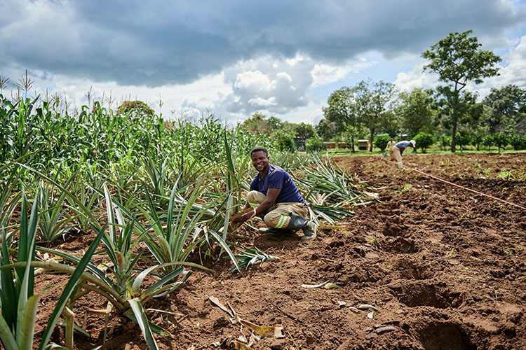 Social Responsibility Programmes