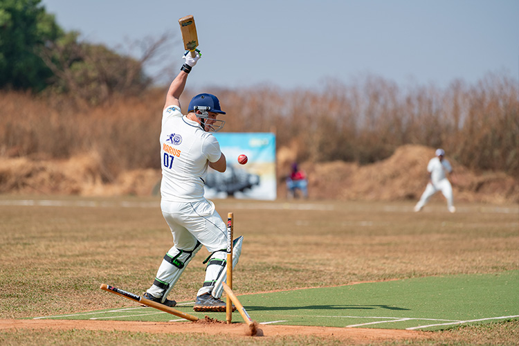 cricket