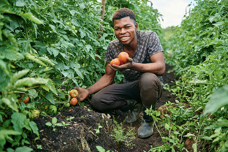 Sustainable Livelihoods Initiative